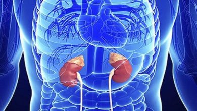 Böbrek Üstü Bezi (Adrenal, Sürrenal) Hastalıkları