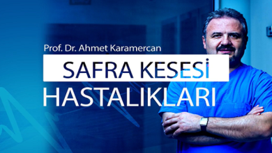 Safra Kesesi Hastalıkları